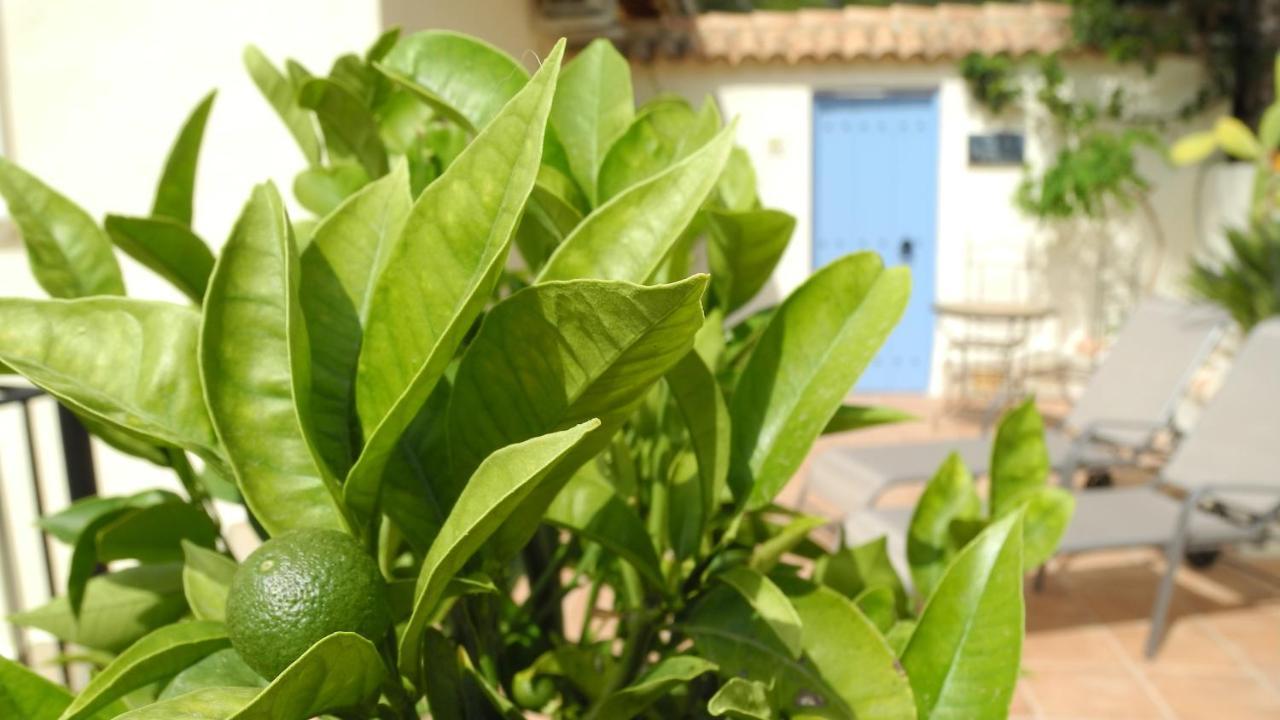 Casa Romero Lliber 外观 照片