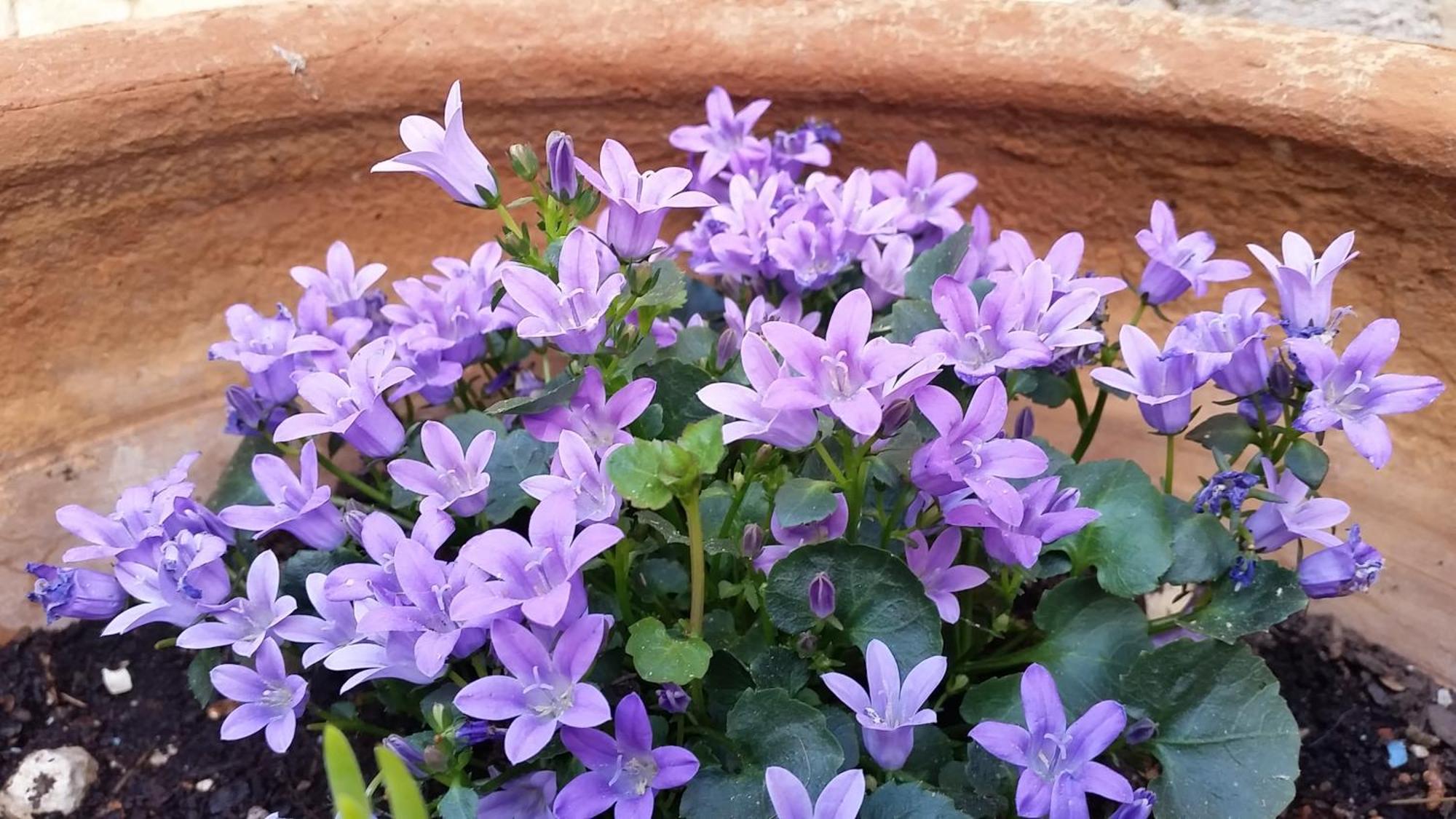 Casa Romero Lliber 客房 照片